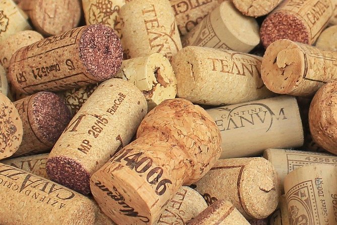 Private Day Trip: Wine Tasting Tour With Pinic Lunch From Nice - Tour Pricing