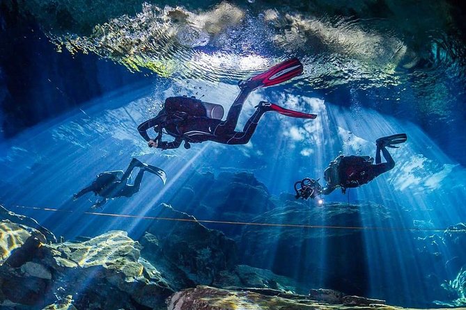 Private Diving at Zenobia Wreck in Larnaka - Experience