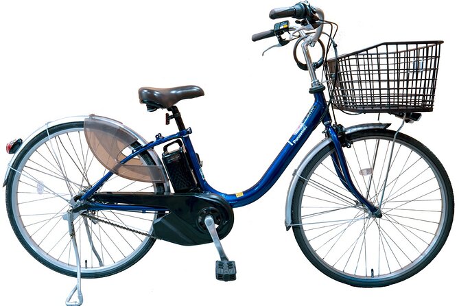 Private Ebike Tour Exploring Fushimi With Torii Red Gate Ride - Pricing