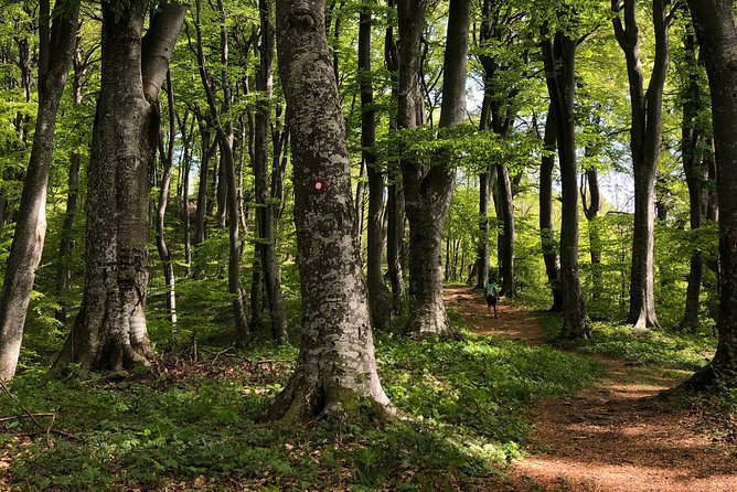 Private Eclectic Hiking Experience of Samobor Hills - Price and Reviews
