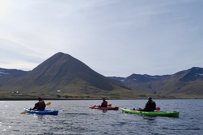 Private: Guided Kayak Tour in Siglufjörður / Siglufjordur. - Meeting Point and End Point