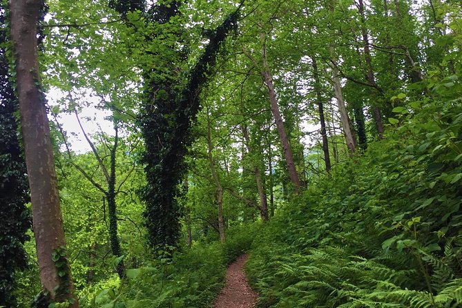 Private Hiking Tour to Mtirala National Park From Batumi - Meeting and Pickup