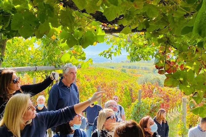 Private Tour in Pompeii Ruins and Pompeii City Center Winery - The Sum Up