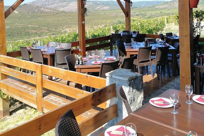Private Wine Tour of Chateau Sopot Winery From Skopje - Reviews
