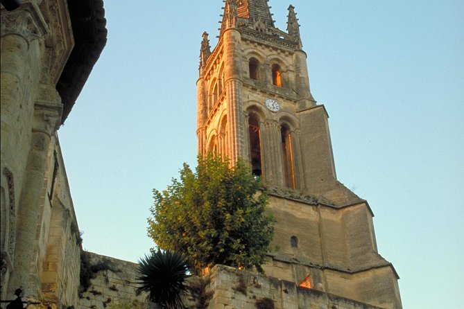 Saint-Emilion Day Trip From Bordeaux With Château Wine Tastings & Lunch - Reviews