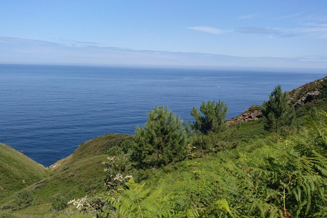 Saint James Way Trekking Tour With Gastronomic Society Dinner - Reviews
