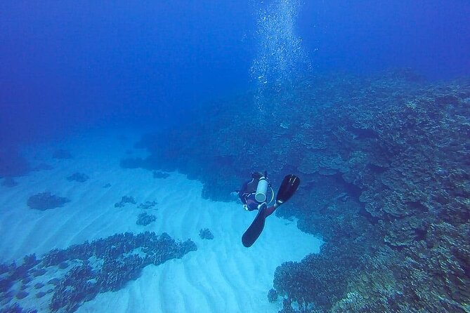 Shared Scuba Diving Experience on Easter Island One Dive Only - Inclusions