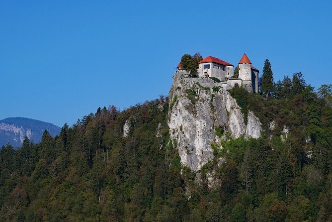 Shore Excursion/Day Tour to Lake Bled and Ljubljana From Koper - Additional Information