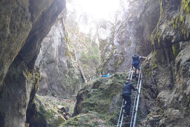Small-Group Castle, Canyon and Sparkling Wine Day Trip From Brasov - Frequently Asked Questions