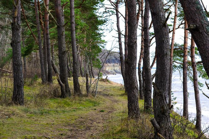 Small-Group Half-Day Tour of Rummu and Coastal Cliffs - Frequently Asked Questions