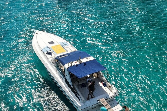 Snorkeling Day From Palau - Customer Reviews and Feedback