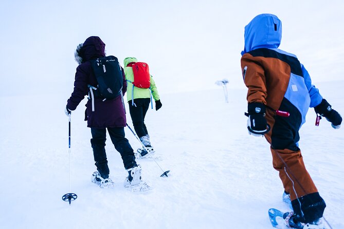 Snowshoe Adventure in Saariselkä - Booking and Operational Information
