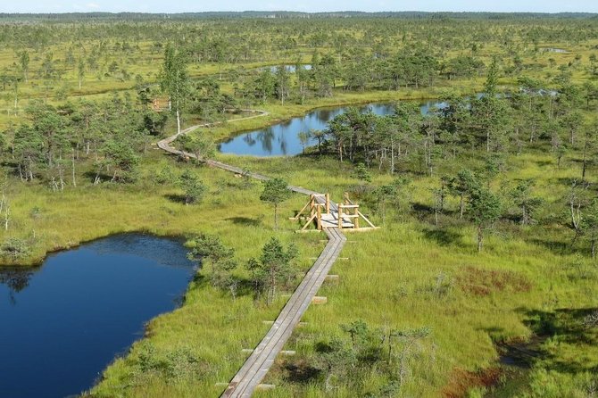 Sunrise Tour To Great Kemeri Bog - The Sum Up