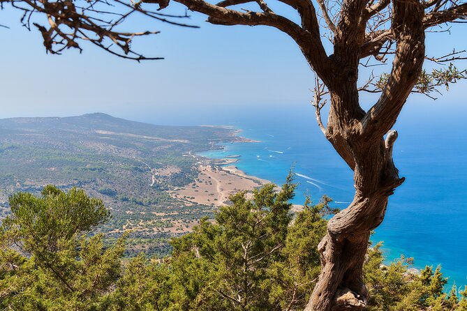 Surf and Turf Full Day Jeep & Boat Combination Tour From Paphos - The Sum Up
