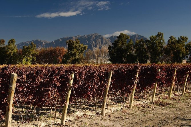 The Wine Route From San Juan - Customer Reviews