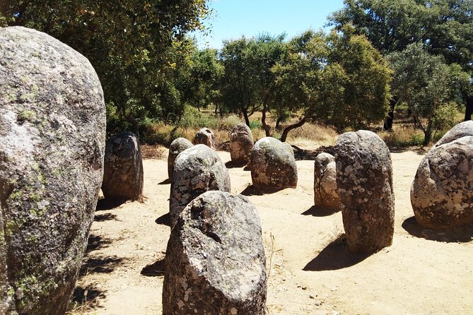 Time Traveller Full Day Tour From Évora by Archaeologists - Booking Information