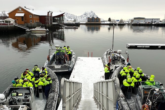 Trollfjord and Sea Eagle Safari Tour From Svolaer - Cancellation Policy