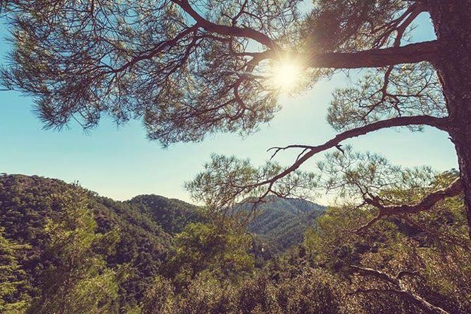 Troodos Jeep Safari From Protaras,Ayia Napa & Larnaca - Frequently Asked Questions