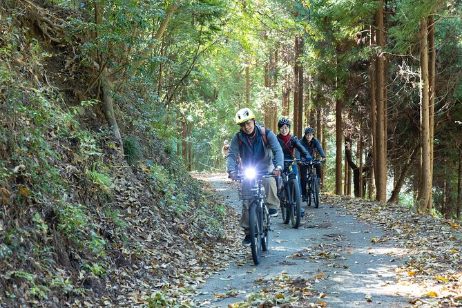 Ukihas Private Forest Ride - Activity Details
