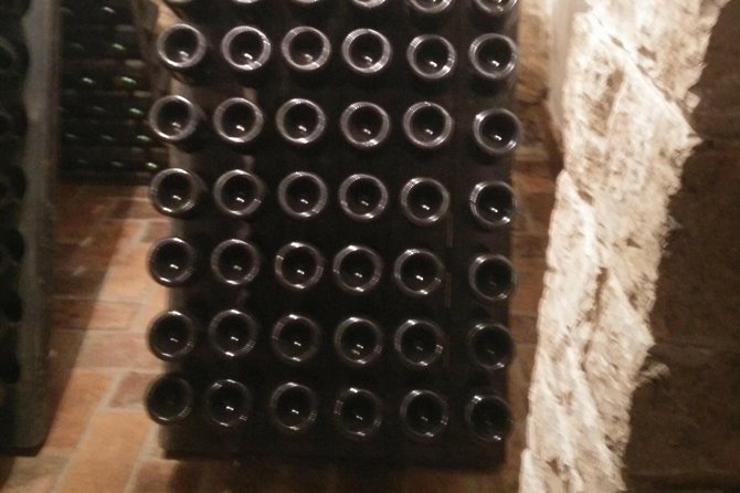 Wine & More Tour , Private Guided Wine Tour From POREC, UMAG ,Istria - The Sum Up