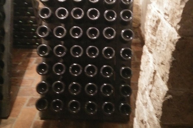 Wine & More Tour , Private Guided Wine Tour From ROVINJ & PULA to Wine Cellars - Pickup Information