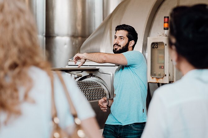 Wine Tasting and Winery Tour at Fikardos Winery - Itinerary