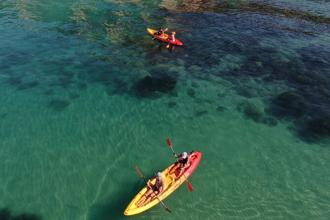 WWF Kayak Tour From Cala Manbrù to Torre Salsa Reserve - Customer Reviews
