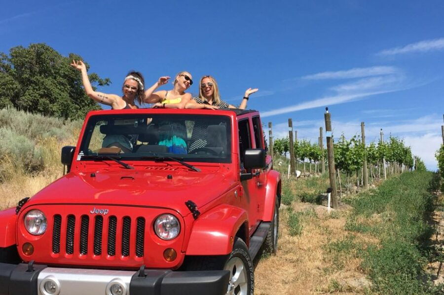 4x4 Jeep Vineyard Safari Tour With Lunch and Wine Tasting