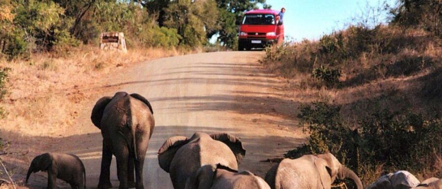 5 Day Small Group Garden Route Tour From CapeTown Dep Monday