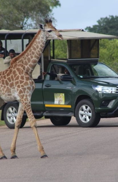 5 Days-Kruger Park and Panorama Route Tour From Johannesburg - Tour Details
