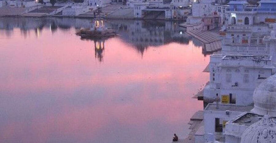 5 Days Luxury Private Tour by Car Jaipur Ranthambor Pushkar. - Good To Know