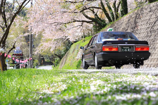 5 Hour Private Chartered Taxi Tour - Good To Know