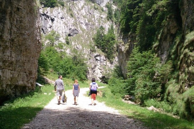 1 Day CARPATHIAN PEAKS & CHALETS Hike - Important Considerations and Information