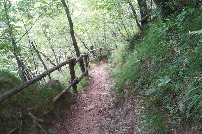 1 Day Trekking - The Wayfarer's Path: BELLANO. VARENNA - Meeting Point