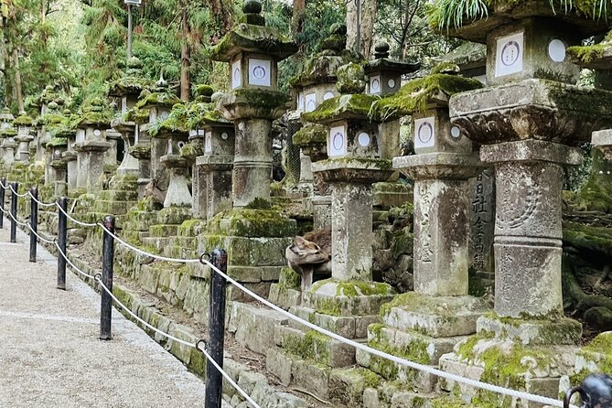 1 Day Walking Tour in Nara Palace Deer and Inkstick - Local Encounters
