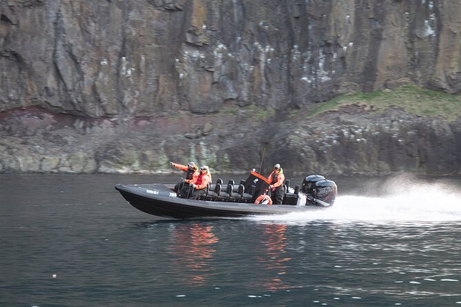 1 Hour Iceland Nature and Wildlife RIB Small Group Guided Safari - Meeting Point