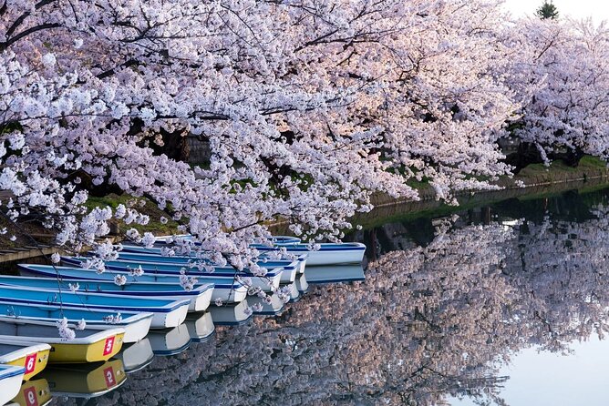 1 Hour Private Photoshoot in Aomori - Booking Information