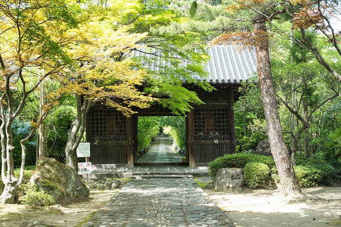 1 Hour Private Photoshoot in Sendai - The Sum Up
