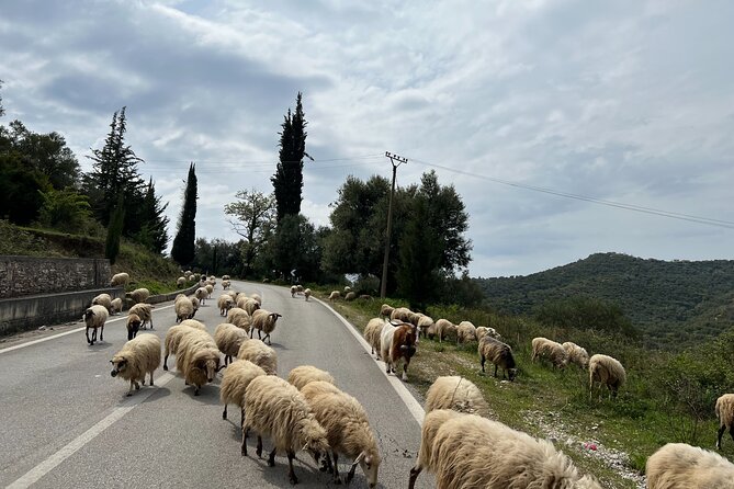2 Day Tour of the Riviera, Gjirokastra UNESCO City and Blue Eye, - Frequently Asked Questions