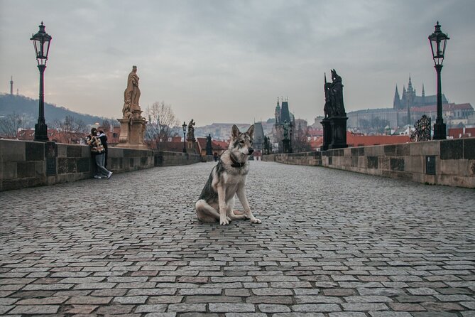 2 Days of Prague Exploration: Left and Right Bank of Vltava River - Christmas Market Experience