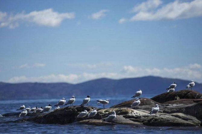 2 Days Titicaca, the Mystic Lake - Activities on Sun Island