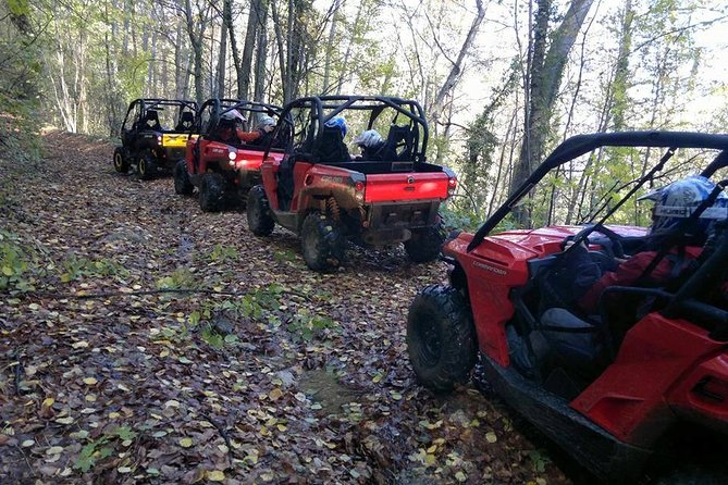 2 Hour Private Superb Buggy Adventure - Booking Information