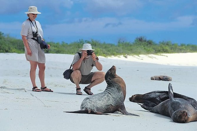 5 Days Galapagos Tour: Santa Cruz and Isabela Islands - Accommodations and Meals
