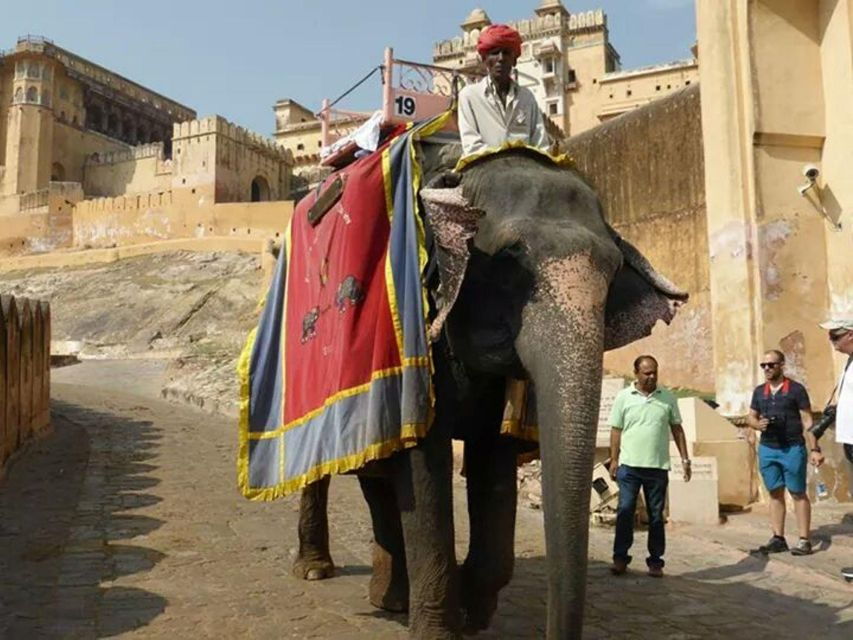 6 Days Golden Triangle India Tour With Pushkar - Itinerary Highlights
