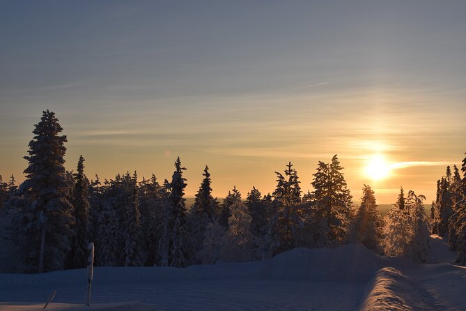 7 Days Winter Lapland Nature Experience - Accommodation Details