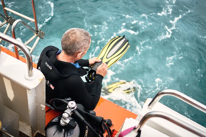 Aquavision Glassboat Katamaran - Frequently Asked Questions
