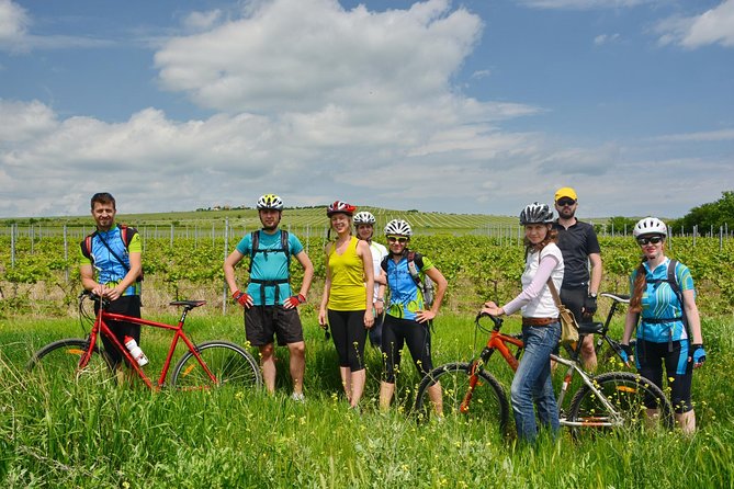 Bike & Wine Tour in Dealu Mare Wineland - Beverages and Nutrition