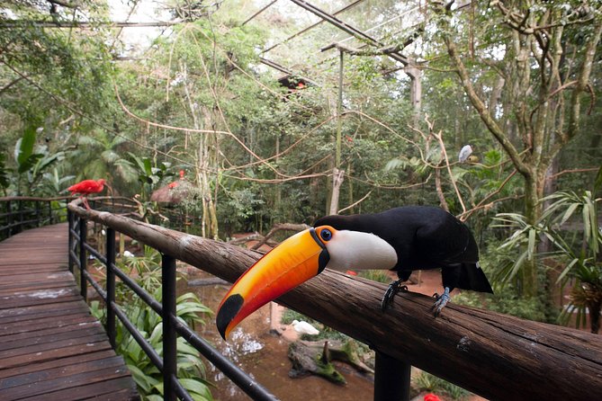Bird Park & Iguassu Brazilian Side From Puerto Iguazú Hotels - Private Tour - Inclusions and Exclusions