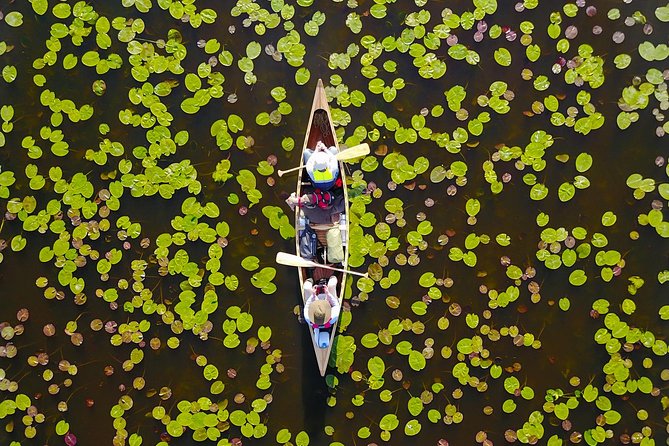 BIRDWATCH - Premium Guided Canoe Tour at Cape Vente, Nemunas Delta Regional Park - Itinerary Overview