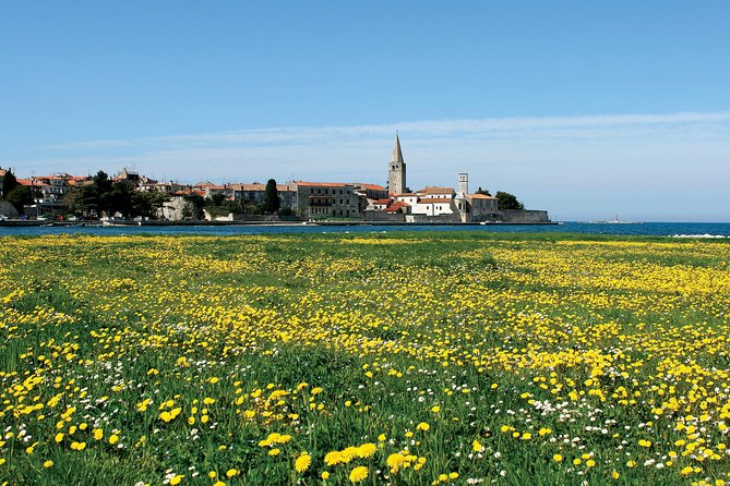 Boat Trip to Rovinj and Vrsar From Poreč With Lunch - Cancellation Policy